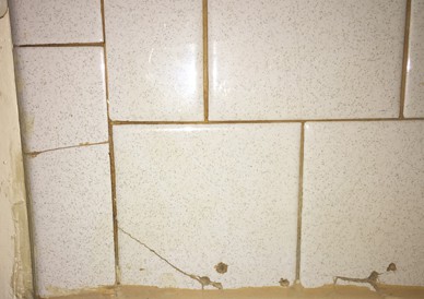 Repair or Replace Cracked Tile